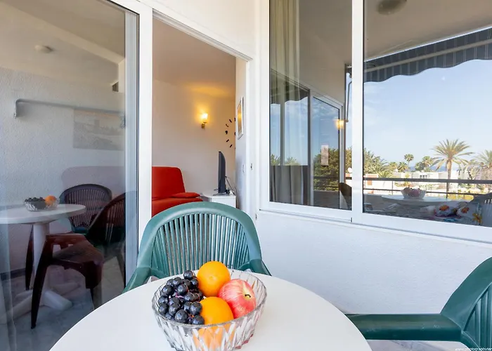 Agaves Sunrises Playa Americas 플라야데라스아메리카스