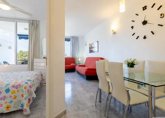 Agaves Sunrises Playa Americas Playa de las Americas (Tenerife)